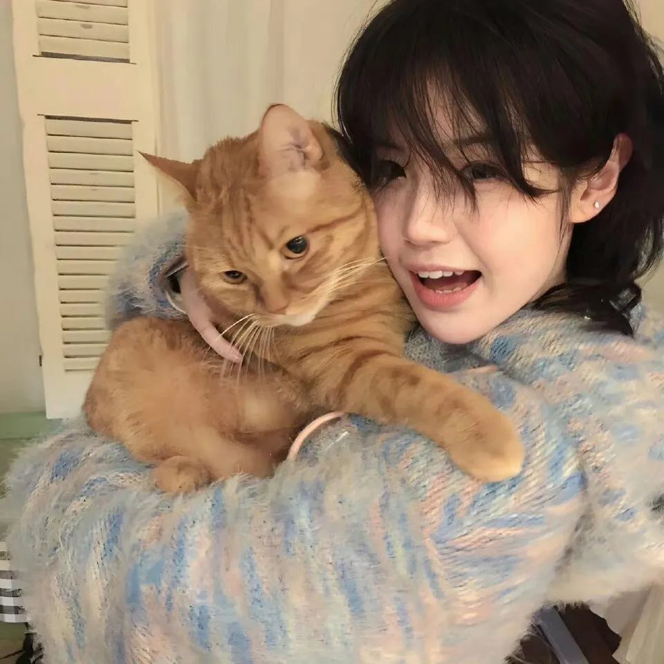 猫儿历险记粤语封面